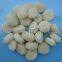 Frozen water chestnut,HACCP,ISO22000,BRC,HALAL,KOSHER