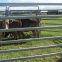 Galvanized Steel Horse/Sheep/Cattle Welded Livestock Panels with Loops
