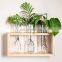 3 Test Flower Bud Vase Kit Glass Plant Terrarium Tubes Test Tube with Wooden shelf