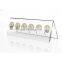 6 Coin Display Rack Coin Collector Holder Clear Acrylic Coin Display Stand