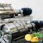 Factory Automatic pineapple juice plant machines whole factory processing line solution