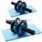 Fitness Exercise Wheel Double Use AB Wheel Roller blue color