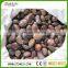 high quality pebble wash price, washed pebble