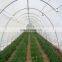 Factory direct selling plastic anti insect netting insect mesh for greenhouse farmland insect aphid net