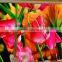 Hot Sale P3.91 Led Display Panel Advertising Led Display Screen