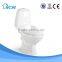 Sanitary ware two -piece X-trap Gravity flushing toilet W8001