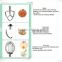 kitchen accessories manufacturer B5 5L blender