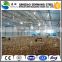 light steel structure prefab poultry layer house with advanced equipments                        
                                                Quality Choice