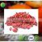 fresh goji berries-best selling christmas gifts 2016