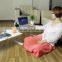 Electric Height Adjustable Table Height Adjustable Laptop Desk Frame