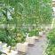 Dutch buckets for growing tomatoes hydroponic system
