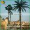 outdoor palm plants artificial date plam tree