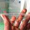 Mobile phone protection glass (toughened glass film)