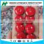 COLOR PAINT COATED ROOFING NAILS WITH UMBRELLA HEAD WASHER