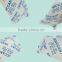 20gram Silica Gel Desiccant Bag