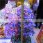 fengshui Artificial money tree plant crystal beaded christmas tree for gift