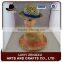 cheap floppy colorful straw fedora hat