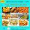 XDL-8500 industrial automatic continuous fryer/frying machine with CE certifcate