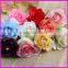 description rose flower as backdrop