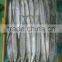 frozen pacific saury (Cololabis Sairy) #2