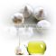 Garlic Oil Garlic Seed Extraction Health Care Products