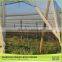 Buy Direct From China Factory Diamond Holes Apple Tree Anti-Hail Nets