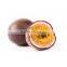 FRESH PASSION FRUIT