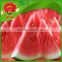 cryogenic transportation wholesale watermelon fresh watermelon on sale