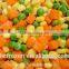 Frozen IQF mixed vegetables