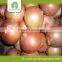Hot selling fresh sallot onion with low price
