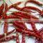 Indian Red Dry Chilli