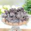 Dried fruit Sugar Bayberry