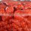 Golden Supplier China Wholesale Onion With Low Price
