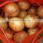 2016 Best Quality New Crop Fresh Onion Products Best Quality