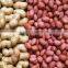 Java Bold Peanuts