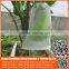 Chinese manufacture 20/30/40/50 mesh hdpe plastic agriculture greenhouse vegetable and fruit anti-insect net , nylon insect net
