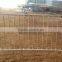 road safety removable crowd control barricade for rental
