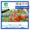 New hot products on the market tomatoes drip tape buy from China online