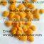 Small snack food processing machine