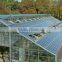 Different Models of Venlo glass multi-tunnel green house With Good After-sale Service