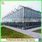Hot Sale Multi-span Glass 9.6m Agriculture Greenhouse for Vegetables