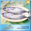 New Coming Wholesale Seafood Skipjack Tuna Fish