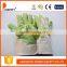 DDSAFETY Wholesale Cheap Garden Glove Cheap Glove