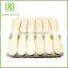 China Supplier Dalian Disposable Birch Wooden Ice Cream Stick