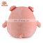 ICTI Factory Wholesale Plush Egg-shaped Animal Soft Pig Toy