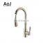 Gold Plated Single Handle Pull Down Kitchen Faucet