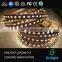 dual color leds cct adjustable strip white amber color led