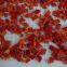 Frozen  IQF red pepper