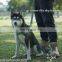 2021 Hot-selling soft cotton like anti-lost ID tag dog harness vest outdoor harness for walking dog