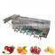 Multifunctional Apple Sorting Machine Peach Sorting Machine Fruit Sorting Machine